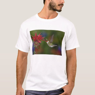 Männlicher Rubinkehlkolibri T-Shirt