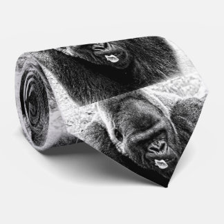 Männlicher Tieflandsilverback-Gorilla, Krawatte
