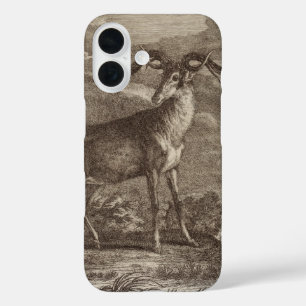Männlicher und junger Rothirsch iPhone 16 Hülle