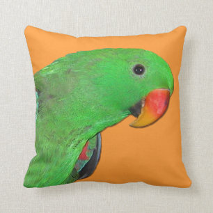 Männliches Eclectus Papageien-Wurfskissen Kissen