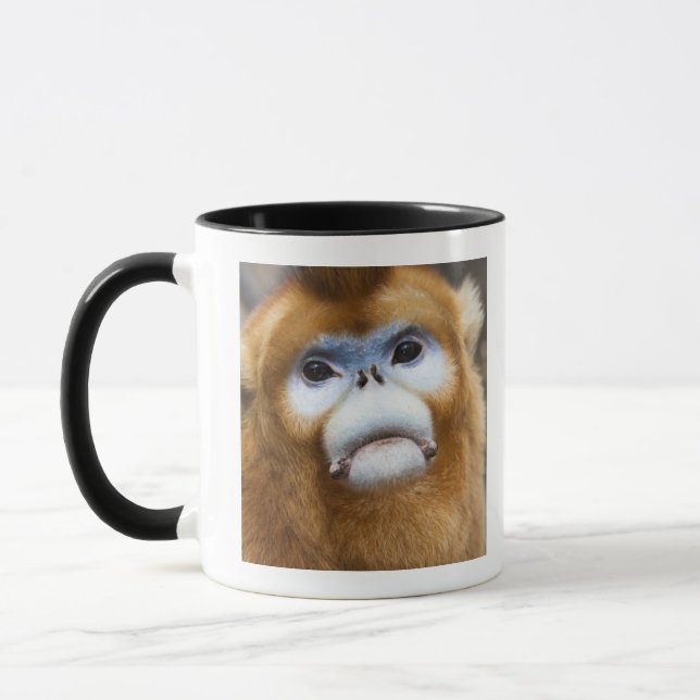 Männliches goldenes Affe Pygathrix roxellana Tasse (Links)