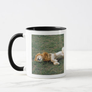 Männliches Löwe-Ausdehnen Tasse