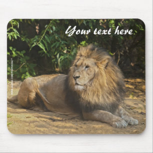 Männliches Löwen-Mauspad Mousepad