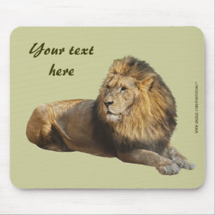 Männliches Löwen-Mauspad Mousepad