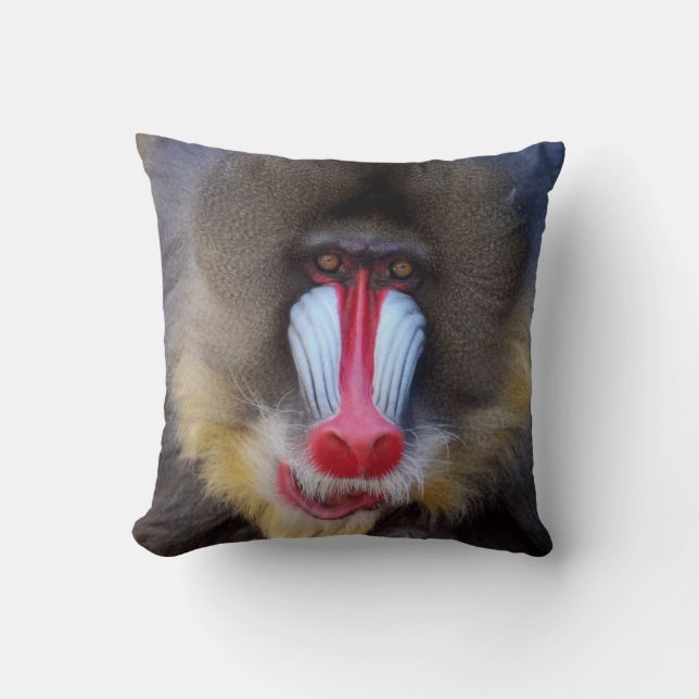 Männliches Mandrill Kissen (Vorderseite)
