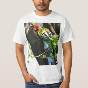 Männliches OstRosella T-Shirt