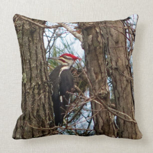 Männliches Pileated Specht-Kissen Kissen
