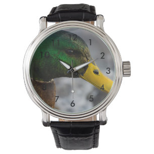 Männliches Stockenten-Porträt Armbanduhr