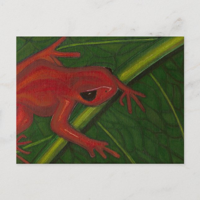 Manny The Mantella (Frosch) Postkarte (Vorderseite)
