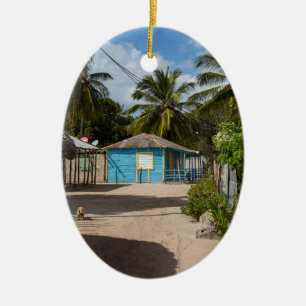 Mano Juan village in Saona Domenican Republic Keramik Ornament