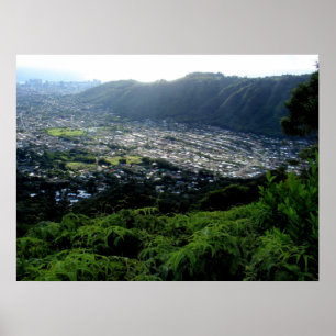 Manoa Tal, O'ahu, Hawai'i Poster