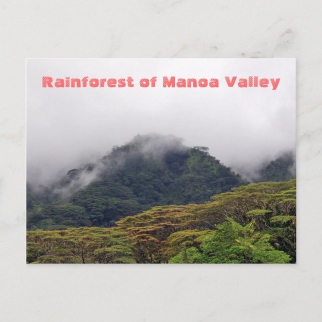 Manoa Valley Rainforest Postcard Postkarte (Vorderseite)