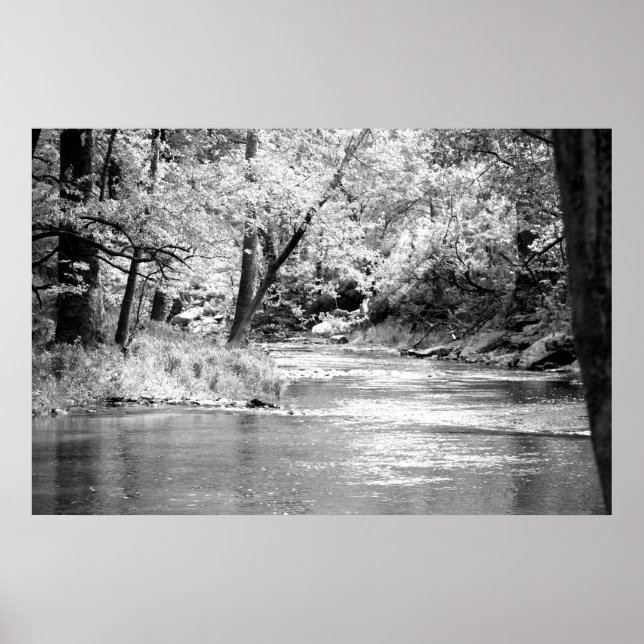 Mansker Creek Poster (Vorne)