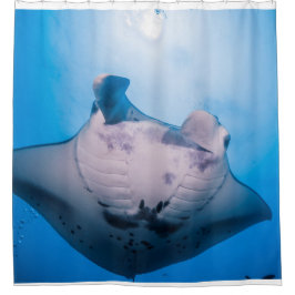 Manta Mania : Manta Ray in der Sonne Duschvorhang