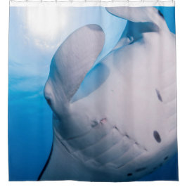 Manta-Manie: Niedlicher Mantastrahl im Duschvorhang