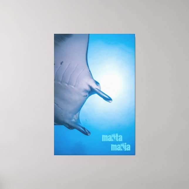 Manta ray leinwanddruck (Vorderseite)