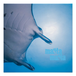 Manta ray poster