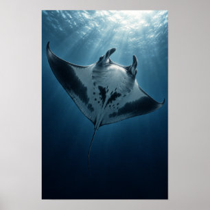 Manta Rochen, der unter dem Sonnenlicht des Ozeans Poster