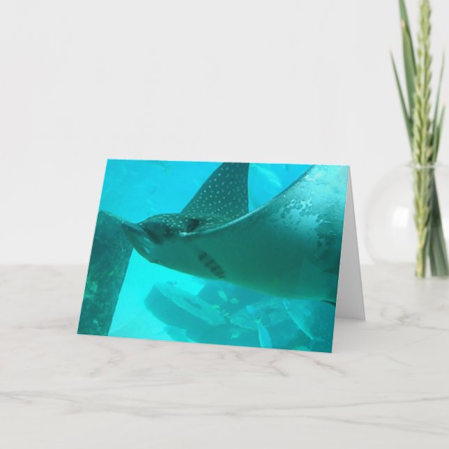 Mantarochen-Gruß-Karte Karte (Vorderseite)