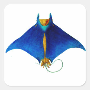 Mantarochen-Kunst Quadratischer Aufkleber