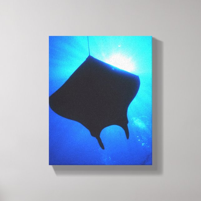 MANTAROCHEN LEINWANDDRUCK (Vorderseite)