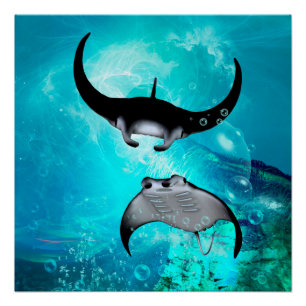 Mantarochen schwimmen poster