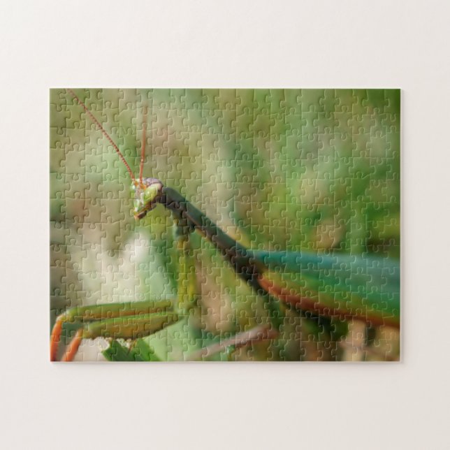 Mante de prière, puzzle de la photo 11x14 avec la (Horizontal)