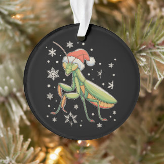 Mante religieuse Chapeau du Père Noël Flocons de n