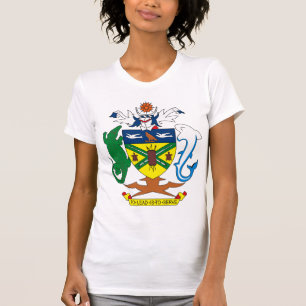 Manteau d'îles Salomon de T-shirt de bras