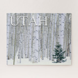 Manti-LaSal National Forest, Utah