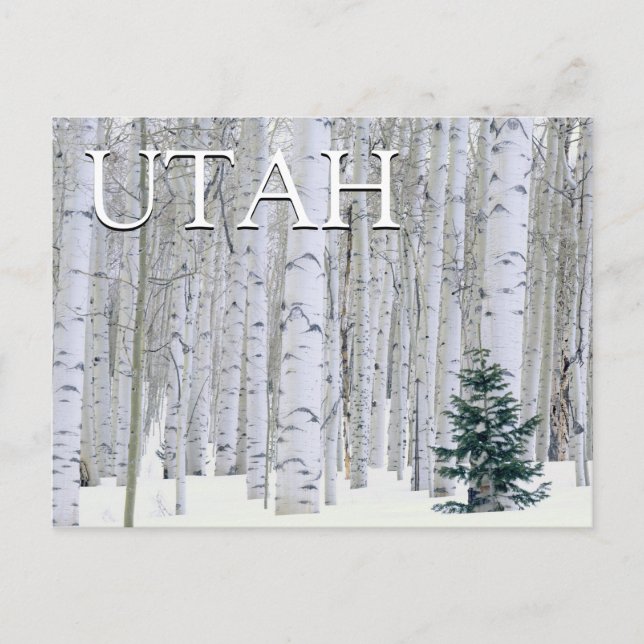 Manti-LaSal National Forest, Utah | Happy Birthday Postkarte (Vorderseite)