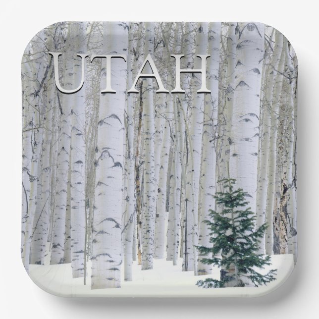 Manti-LaSal National Forest, Utah Pappteller (Vorderseite)