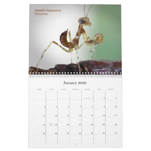 Mantidforum.net-Wandkalender 2015 Kalender (Jan 2026)