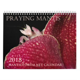 Mantidforum.net-Wandkalender 2018 (Alternative) Kalender