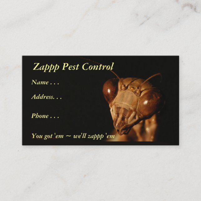 Mantis 15 ~ Visitenkarte (Vorderseite)