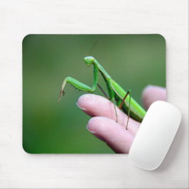 Mantis auf der Hand beten Mousepad