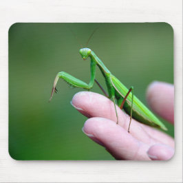 Mantis auf der Hand beten Mousepad