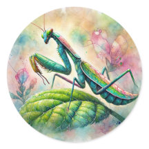 Mantis auf der Wasserfarbe Leaf beten