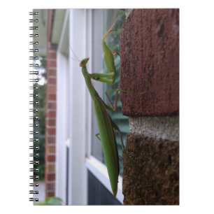 Mantis auf der Ziegelmauer beten Notizblock