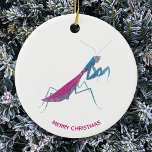 Mantis benutzerdefinierter Text Keramik Ornament<br><div class="desc">Eine lustige Gottesanbeterin für Insekten- und Käfer-Liebhaber. Einige betende Mansen fressen ihre Freunde. Ach! Fügen Sie Ihren eigenen Text,  um mit einem Namen,  Phrase oder Witz anpassen.</div>