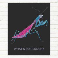 Mantis benutzerdefinierter Text
