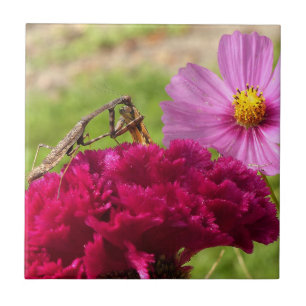 Mantis beten auf einem Mond Fliese