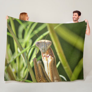 Mantis beten fleecedecke