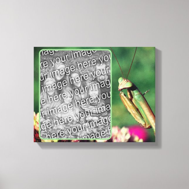 Mantis beten Ihr eigenes Foto Leinwanddruck (Vorderseite)