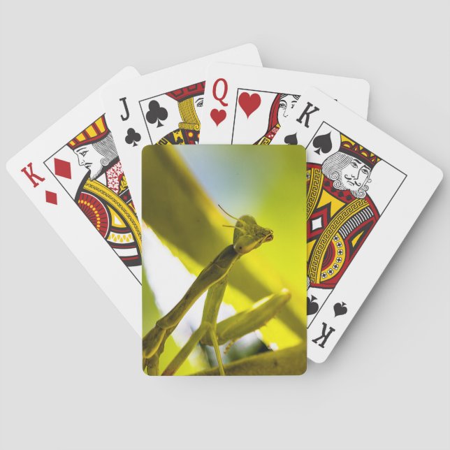 Mantis beten Karten spielen Spielkarten (Rückseite)