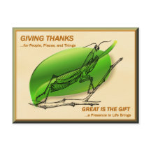 Mantis beten und danken