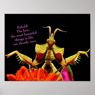 Mantis & Blume Prachen Bright & Beautiful Poster
