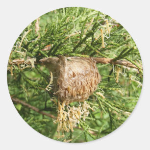 Mantis émergent ~ autocollant