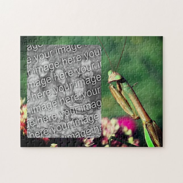 Mantis Frame beten Ihr eigenes Foto (Horizontal)