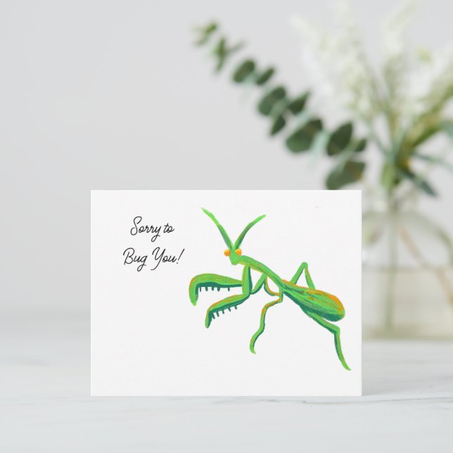 Mantis in hellgrünen Gewohnheiten beten Postkarte (Stehend Vorderseite)